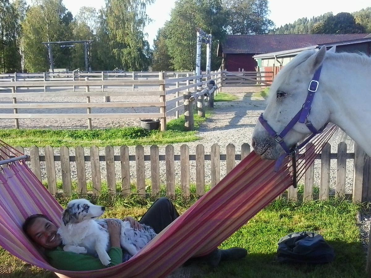 Sun Dance Ranch Panzió Ekshärad Kültér fotó